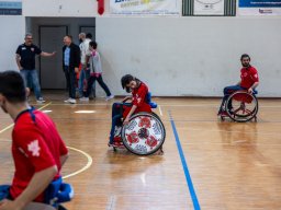 1372-_Creavivamente_2024