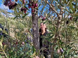 olive_01