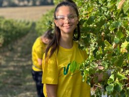 vendemmia_25
