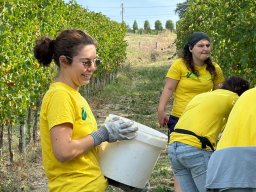 vendemmia_27