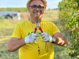 vendemmia_39