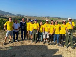 vendemmia_51