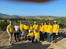 vendemmia_52