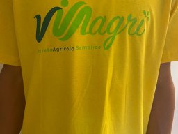 vendemmia_71
